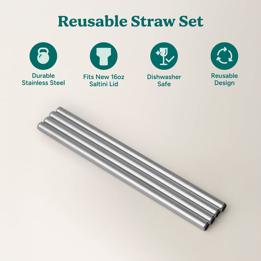 saltini-straw-set-d5 4PK_SaltiniStraws_SS-2.jpg