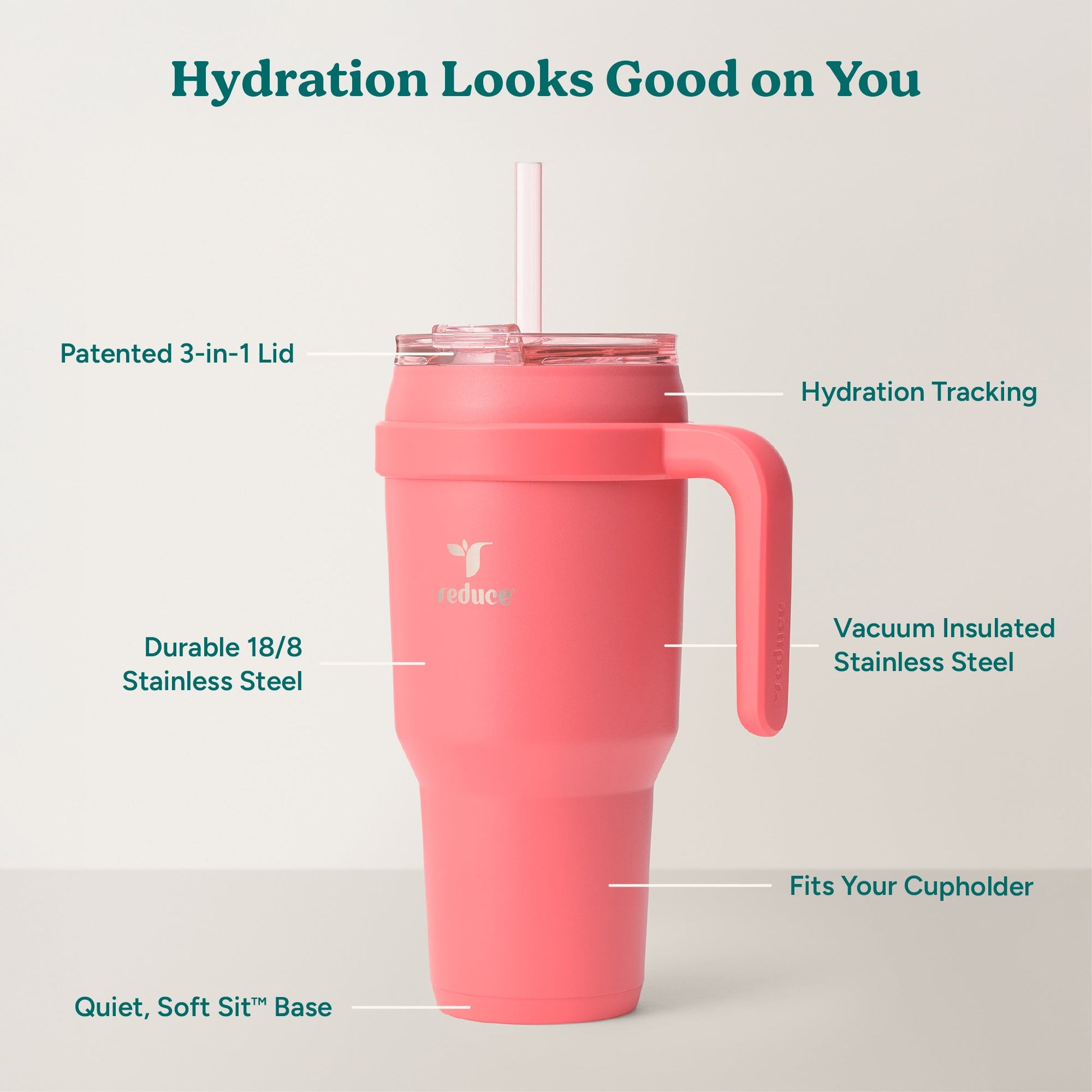 cold1-40-oz-f8 Cold1_40oz_Daiquiri_Infographic_2.jpg