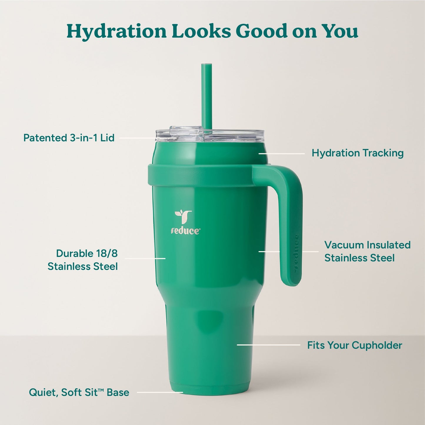 cold1-40-oz-f8 Cold1_40oz_PalmLeaf_Infographic_2.jpg