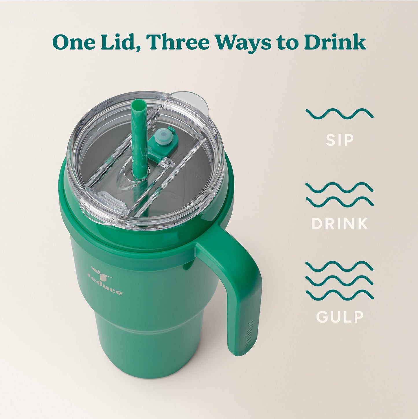 cold1-40-oz-f8 Cold1_40oz_PalmLeaf_Infographic_3.jpg