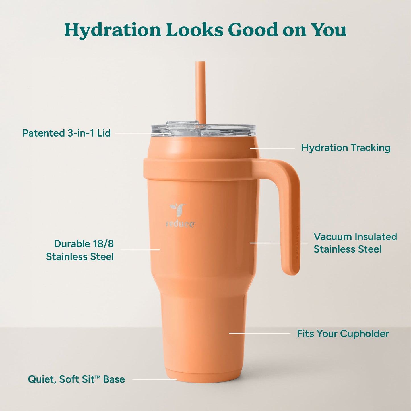 cold1-40-oz-f8 Cold1_40oz_Papaya_Infographic_2.jpg