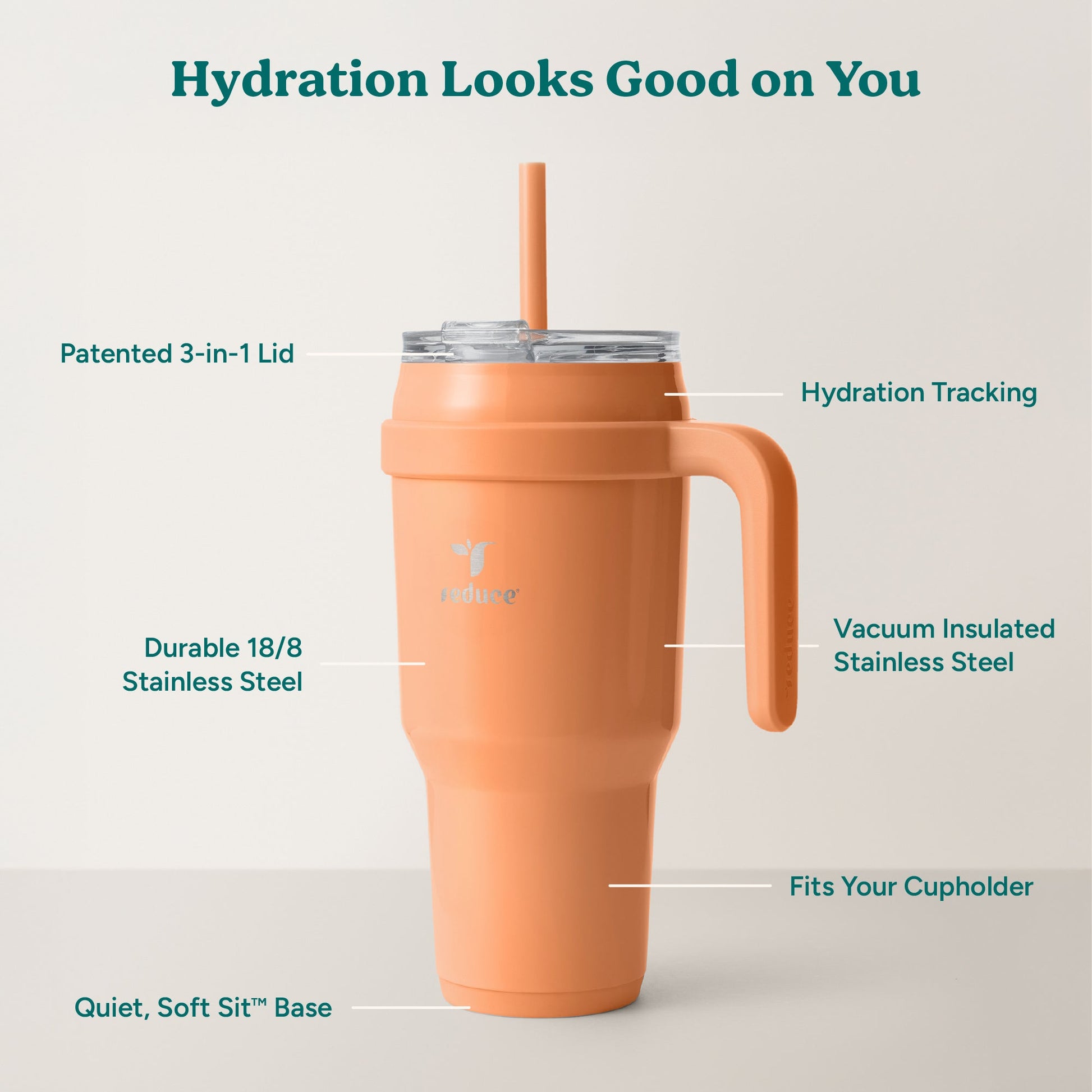 cold1-40-oz-f8 Cold1_40oz_Papaya_Infographic_2.jpg