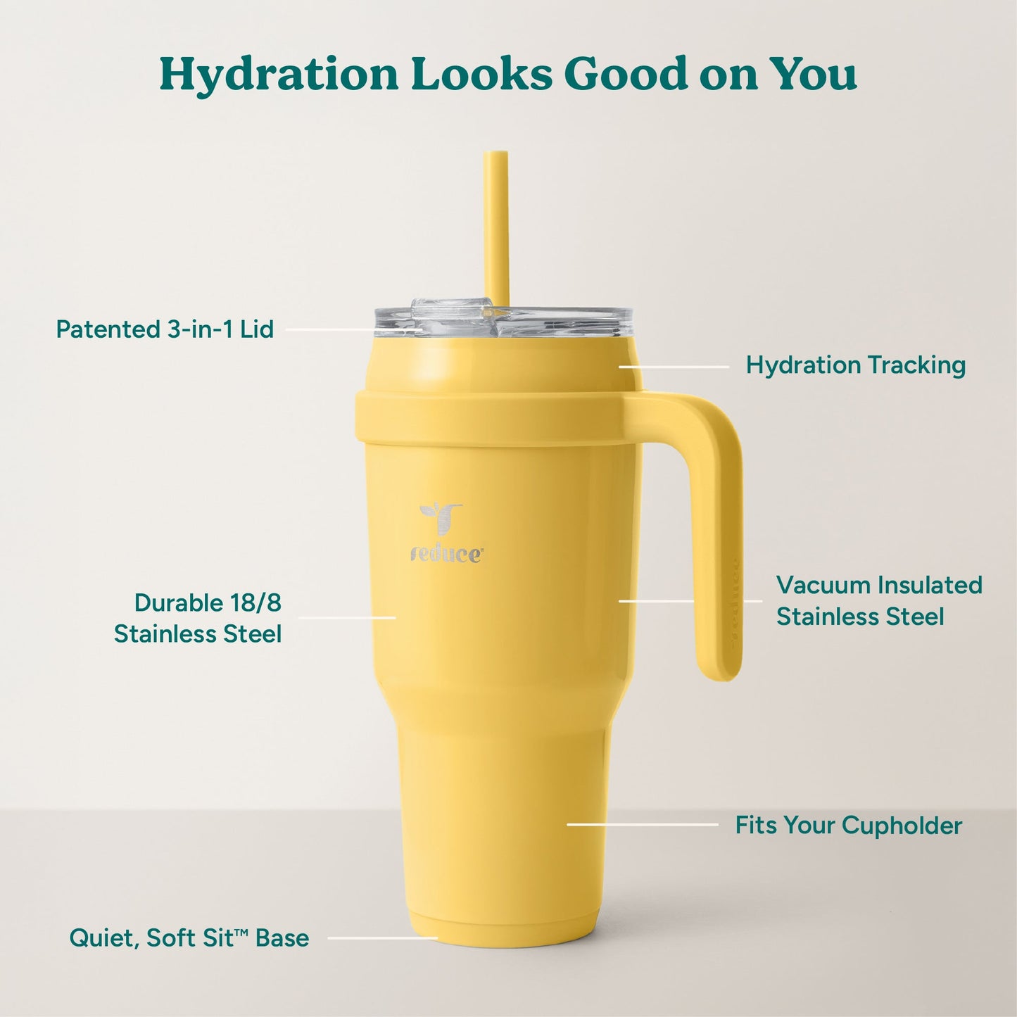 cold1-40-oz-f8 Cold1_40oz_Pineapple_Infographic_2.jpg