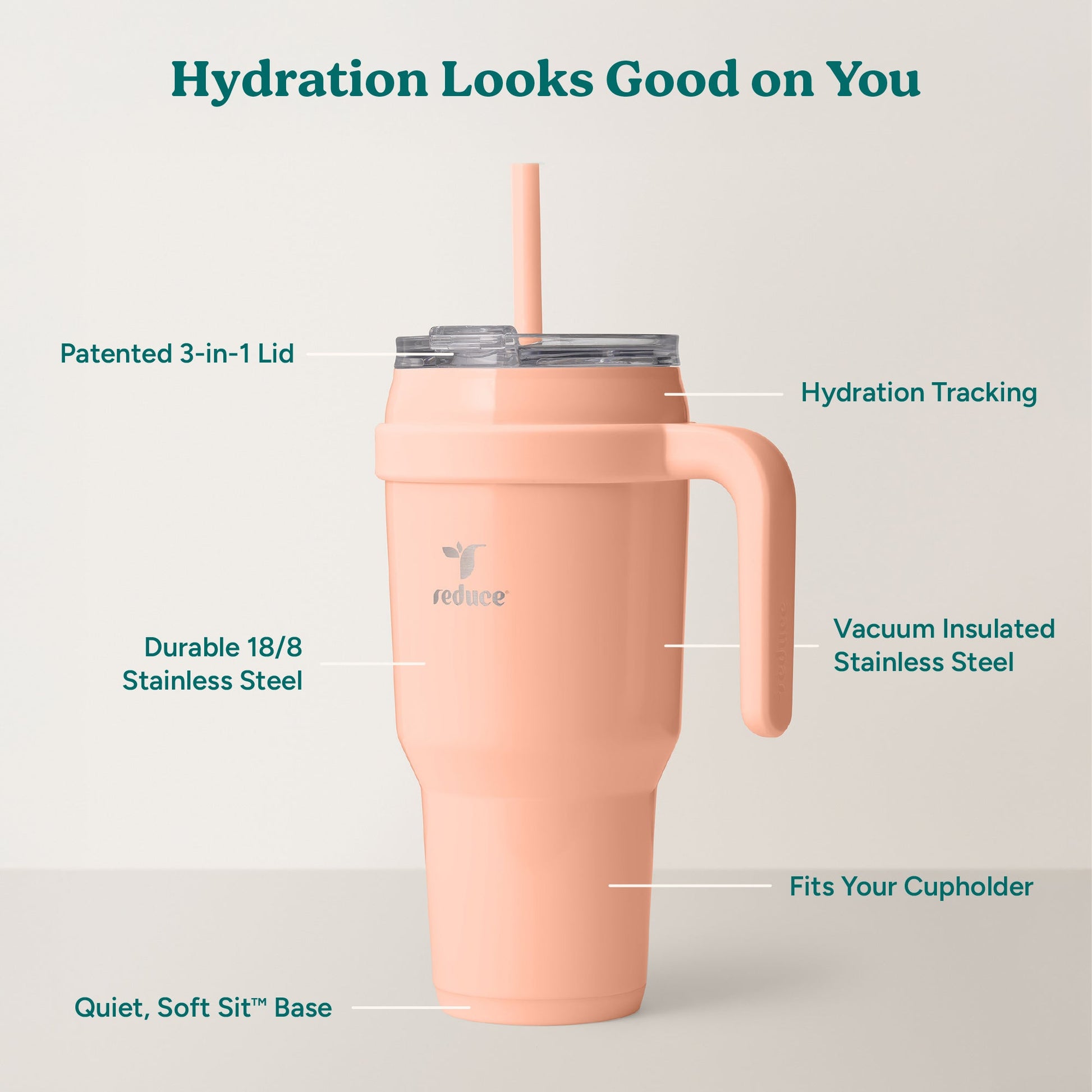 cold1-40-oz-f8 Cold1_40oz_Sedona_Infographic_2.jpg